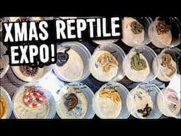 XMAS REPTILE EXPO 2020!