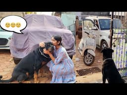 Dog missing his owner after death 😢 || snappy girls #emotional #rajveer #rottweiler #dog ||