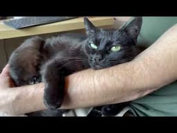 Kami Kneads Her Daddy's Arm