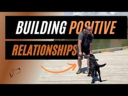 How To Build Positive Relationships With Your Dog | The Stick Story