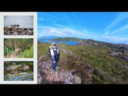 Wildlife photography on Scotland's Isle of Rona