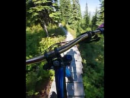 If only every MTB trail was built like this