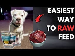 Best Way To Feed Your Dog A Raw Diet On A Budget in 2024!