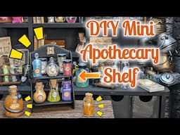 DIY Mini Apothecary Shelf & Miniverse Armadillo Bile Potion!