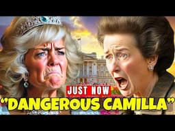 Why Princess Anne's HATE Queen Camilla! (SHOCKING)