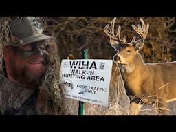 BIG KANSAS BUCK on Public Land!! (Finding Hot Sign)