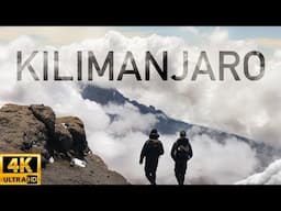 Hiking Kilimanjaro via Lemosho Route (2024)