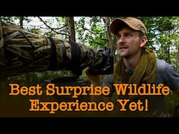 One of my Best Wildlife Photography Experiences YET! | Nikon Z9