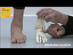 Learn Ballet Correct stance feet (Promotion Film)