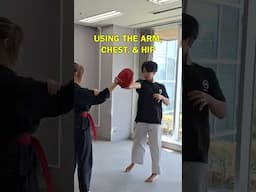 White Belt Punch vs Black Belt Punch