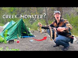 Fishing for a CREEK MONSTER! (REMOTE Trout Fishing and Camping!  CATCH AND COOK!)