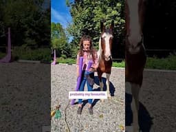 PART 2 DIY Targets #positivereinforcementtrainingforhorses #horsetrainingtips