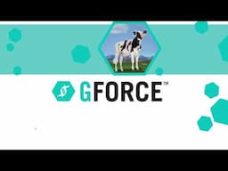 GForce_FR