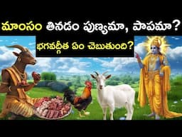 మాంసాహారం తినడం పుణ్యమా లేక పాపమా? | శ్రీ కృష్ణుడు ఎం చెప్పాడు? | lord krishna | infosecret