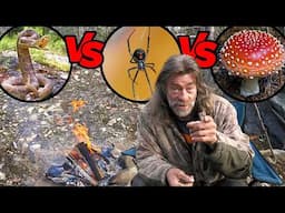 What Will Kill You First? Poisonous Snake vs Poisonous Mushroom vs Poisonous Spider