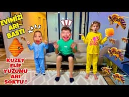 KUZEY ELİF EVİMİZİ ARI BASTI ‼️ EYVAH KUZEY ELİFİN YÜZÜNÜ ARI SOKTU ŞİŞTİ ?!