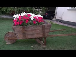 Wodden Garden Wheelbarrow  عربة خشبية للحديقة