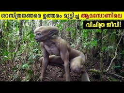 Amazon വനത്തിലെ വിചിത്ര ജീവികൾ!😱 Strange Creatures In Amazon Rainforest | Storify