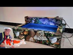 Japanese Koi pond Setup | Indoor Japanese koi pond Built | True Pets Aqua |