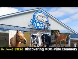 Van Travel:  We visit Moo-ville Creamery. Amazing self guided tour and Automatic Cow milking!