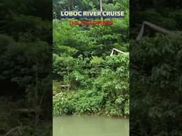 Loboc River Cruise, Bohol, The Philippines