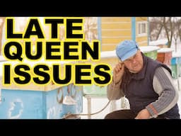 Beekeeping | How To Deal With Late Queen Issues