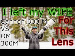 Canon RF 600mm f4 vs OM Systems 300mm f4 Ultimate wildlife shoot out! Is bigger really better?