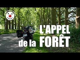 L'Appel de la Forêt  - Road Trip Normand - Voyage en FRANCE partie 2/3