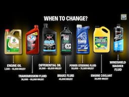 When & How to Change Every Fluid in your Car | Explained