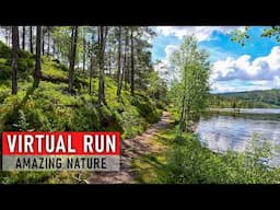 Trailrunners Paradise | 60 min Virtual Run in Stunning Nature Scenery | Treadmill