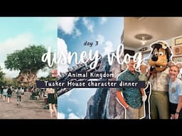 Animal Kingdom Vlog | Tusker House character dining, Kilimanjaro Safari, Expedition Everest & more