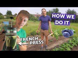 Fermenting in a French Press? (Garden preserving tricks) | Life on a small farm in Central Europe