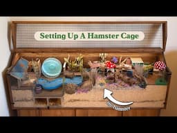 Set Up A Hamster Cage With Me | Natural Woodland Garden