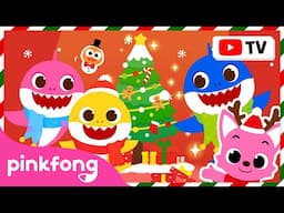 [Best of the Best] 🎄Have a Holly Jolly Christmas | Christmas Carol | Compilation | Official Pinkfong