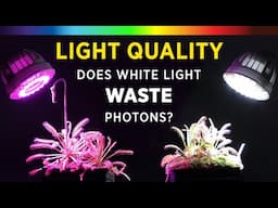 Grow Lights 101: Best Plant Growth Spectrum Color? White vs Red/Blue LED + What is PAR & ePAR Light?