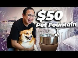 The $50 Pet Fountain Every Dog Deserves to Have