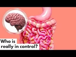 Do Your Gut Bacteria Control Your Mind?