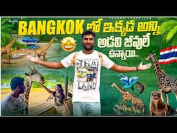 Safari World Bangkok | Wild Animals | Thailand | Telugu Traveller