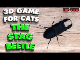 3D game for cats | The Stag Beetle (top view) | 4K, 60 fps, stereo sound