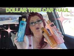 DOLLAR TREE CAR HAUL |  NEW SPARKLY GOODIES | November 12, 2024