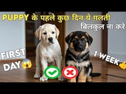 New puppy के सात पहले कुच दिन ये गलती न करे / One important care tips for first day puppy