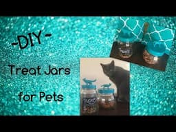 DIY Treat Jars for Pets