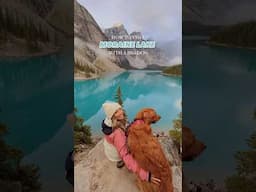 HOW TO VISIT MORAINE LAKE WITH YOUR DOG 🏔️🐶 #banff #morainelake #dogtravel