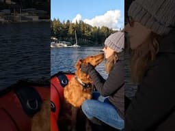 Adventures are better when shared with best friends—especially the four-legged kind! #inflatableboat