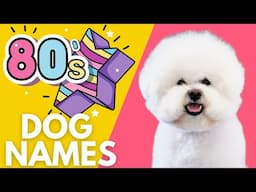 80s Dog Names everyone is obsessed with - Don't Miss Out!