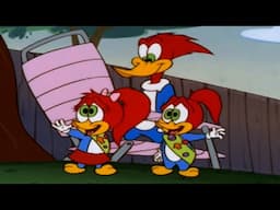 Summer Camp Adventure | 1 Hour of Woody Woodpecker Full Episodes