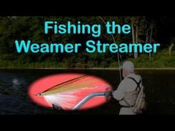 Fishing the Weamer Streamer: Next Level Streamer Fishing