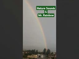 #rainbow #shortvideo #shortsfeed Some Amazing view of the Rainbow.