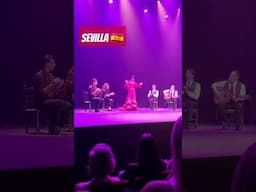 Flamenco - Sevilla - España #flamenco #sevilla #españa #spain