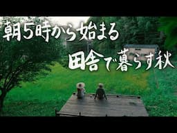 【田舎暮らし】朝5時から始まるお家が大好きな30歳男の秋の過ごし方 #231